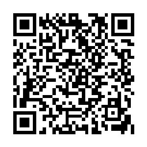 他便开始认真的阅读起了洛凌烟给他的那些资料二维码生成