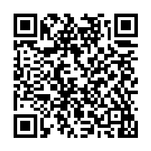 他便忽然感觉到自己体内的金圣龙本源活跃了起来二维码生成