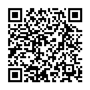 他便捧着一团青色精血和一颗青色蛇形果子用玉盒装好二维码生成