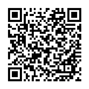 他便被因为受伤而咆哮出声的辟寒大王一脚踹飞了出去二维码生成