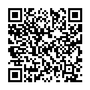 他修炼的功法本就是雷属性的地阶下品功法雷罡诀二维码生成