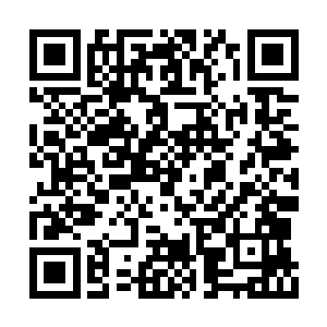 他修长的手指狠狠地捏住了叶海凝那精致的下巴二维码生成