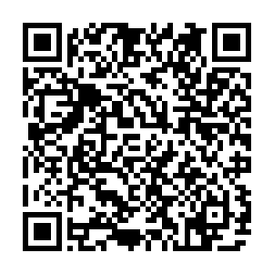 他倒是忽略了这一点一一在谈合作期间昆汀始终都没有提过女主角是乌玛这件事二维码生成