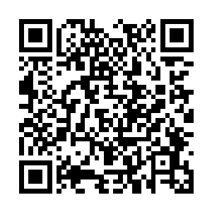 他倒是看到了被研究员们围拢起来的氨基酸分析仪二维码生成