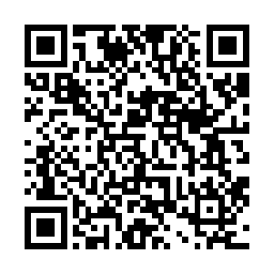 他倒要看看红角族或者说那个胡莲大祭司到底在搞什么鬼二维码生成