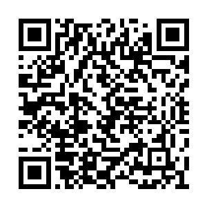 他做梦也没想到夏天居然敢在元帅喊停之后杀他二维码生成