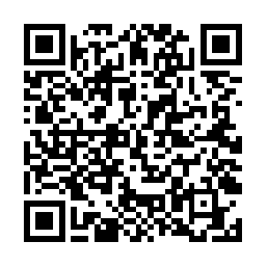 他先把那位大罗周家三少爷等人的记忆信息读取完毕二维码生成
