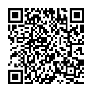 他先是用了一整天时间听千夜讲述在中立之地的经历二维码生成