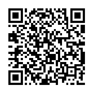 他入选的理由也并非是他比其他的二队成员更强二维码生成