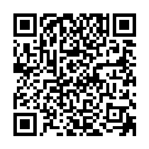 他兴致勃勃的将兽王在九星籍中所学迅速而简洁的告诉了他们二维码生成