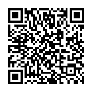 他其实也不觉得威廉有这个资格能够决定名额的归属二维码生成