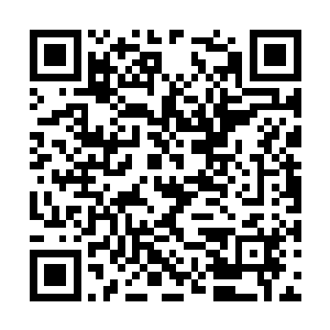 他其实也想知道正德的圣旨上写的具体内容是什么二维码生成