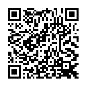 他其实也是非常期待接下来天龙和天族人之间的碰撞的二维码生成