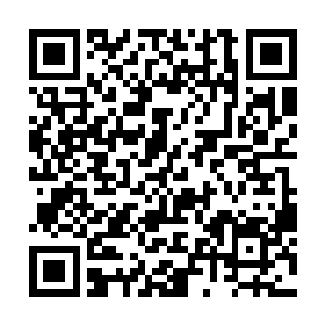 他其实也蛮期待灵魂法球能给自己带来怎样的技能的二维码生成