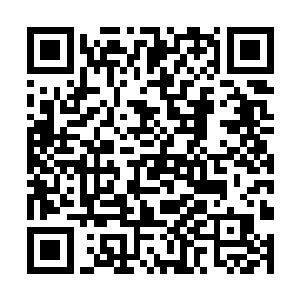他内心希望楚暮能够以东华楼的剑者身份参与升龙会二维码生成