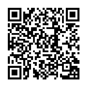 他再一次拿出了上次在雪山之巅脱盾卫者铠甲的技术二维码生成