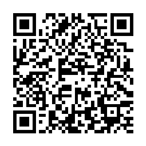 他再去打比自己高级的野怪时就会获得大量额外的经验补偿二维码生成