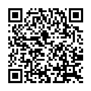 他决定帮助卡迪炼制一件具有独立治疗功能的治疗骨器二维码生成