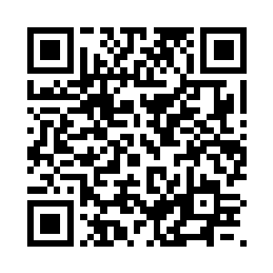 他决定留给20级时的魔形术士使用二维码生成