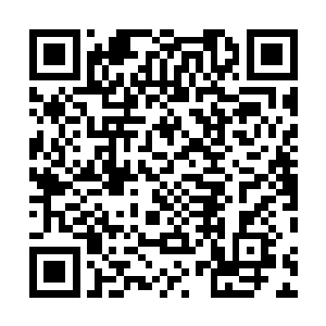 他凝聚是历代岚之王对于王者的理解――王者既守护之人二维码生成