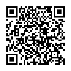 他几乎就是凭着抗揍将太虚宗修士的元力消耗地差不多二维码生成