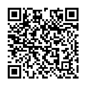 他几乎才接触到这个美女杀手心中的那一点点想法二维码生成