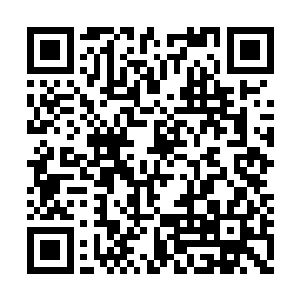 他几乎都要以为秦宇这是在诅咒自己的这个项目二维码生成