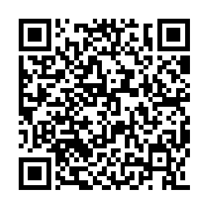 他分明也在杜遥的脸上看到了一双淡绿色的竖瞳二维码生成