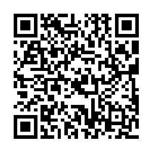 他分明从她眼里看到了不该这个年纪孩子有的复杂神色二维码生成