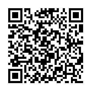 他分明感觉到杨开的修为只有道源一层境的而已二维码生成