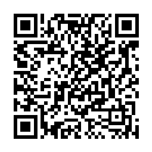 他刚刚苏醒的大脑一时半会儿还处理不了如此复杂的信息二维码生成