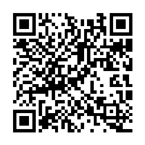 他刚刚那一击的力量相当于圣皇七重天强者的一击二维码生成