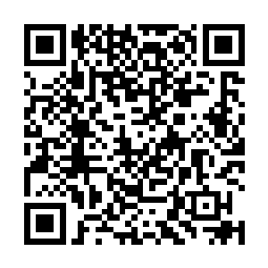 他刚好看到何少卿与岳东林两人同时走进了一个办公室二维码生成