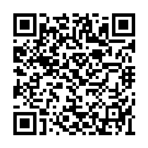 他刚开始之所以不想承认夏天是150万战斗力的人二维码生成