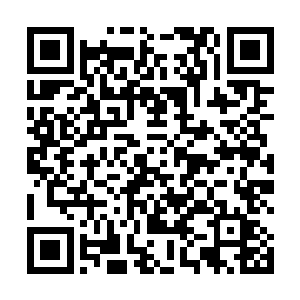 他刚才只是突然想起少年黑狡和原战他们都知道食人蜂二维码生成