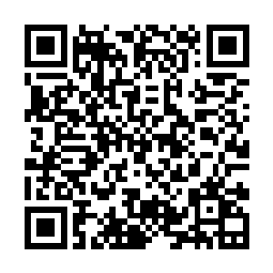 他刚才放出的自然不是他父亲威震祖界的三千赤炎火二维码生成