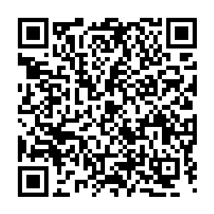 他刚才看到两个小屁孩在玩刮刮乐的时候就想表现一下自己是老手二维码生成