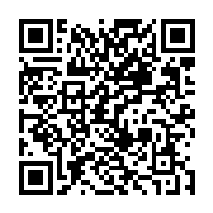 他到底是曾经眼看着这丫头从袖子里拽出过一只屁股来的人二维码生成