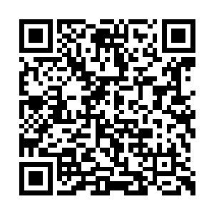 他到底还是没忍住低头含住了那两片粉嫩的樱唇二维码生成