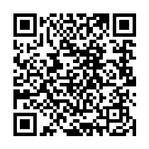 他到现在还念念不忘在两枚娃娃果中找一个做他的伴侣二维码生成