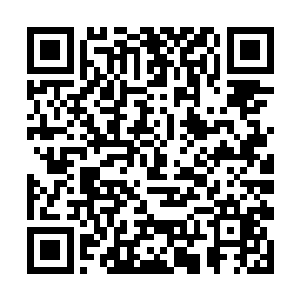 他制造出来的那一只俑鸟虽然正在草原上面疯狂奔驰二维码生成