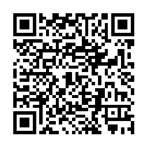 他前期的目的一直是让队伍团灭好让自己一直存在下去二维码生成