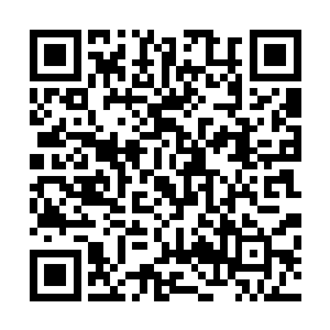 他动作很熟悉的将奥利奥放在了车后座的儿童安全座椅上面二维码生成