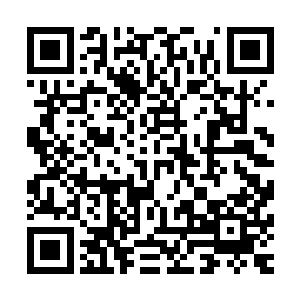 他势不可挡　一拳击出　后劲顿生　六百万斤身体之力经过罡二维码生成