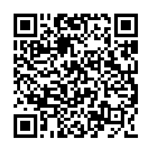 他十六岁生日的时候却集中了所有的精力在雨果二维码生成