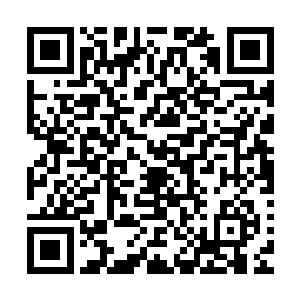 他千算万算都没算到那百分之十的股权是直接转让给了柳逸尘二维码生成