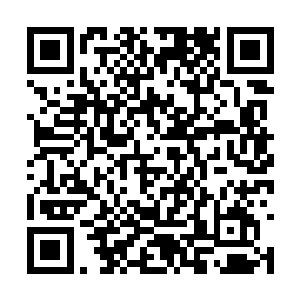 他千辛万苦的结果就是要将他自己送入到龙骨之内二维码生成