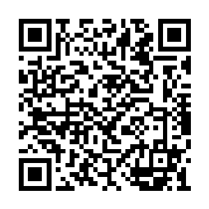 他单单是听到声音就已经吓的不敢对夏天动手了二维码生成