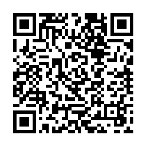 他印象里好像张和尘不是一个没事议论领导工作的人二维码生成