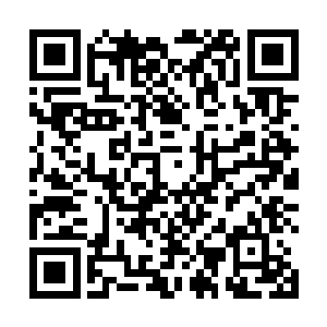 他却不想再看到这个叫刘星的华族战士再死在自己面前二维码生成